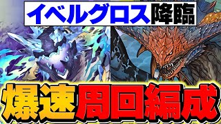 【最難関】イベルグロス降臨をネロで4分台周回！1枚抜きも対応可能！これ組めばOK！【パズドラ】