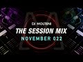 Dj Molteni - The Session Mix - November 2022 #melodictechno #djset #djmolteni