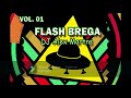 VOL. 01 FLASH BREGA - DJ ALEX MARTINS