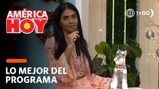 América Hoy: Vania Bludau le pidió manutención de sus perritos a Christian Domínguez  (HOY)