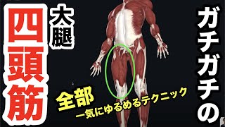 ガチガチの”大腿四頭筋”を全部まとめて一気にユルユルにする手技！【腰痛 治し方 ストレッチ】[Low back pain treatment] How to loosen the quadriceps