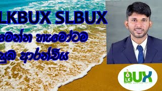 What happened to lkbux.lk owners message to all members online jobs