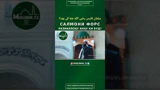 Салмони Форс ки Буд?