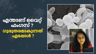 എന്താണ് വൈറ്റ് ഫംഗസ്? അത് ഗുരുതരമാവുന്നത് എപ്പോള്‍?| Mathrubhumi.com