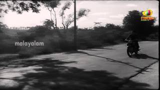 Manthrakodi Movie Scenes - Prem Nazir chasing goons - Vijaysree, MS Viswanathan