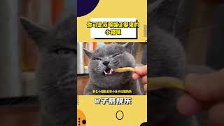 古代养猫原来这么有仪式感 #猫咪  #聘狸奴  #冷知识#shorts