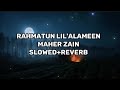 Rahmatun lil'alameen| English lyrics X translation| Maher Zain 🤍✨ #islam #nasheed #subscribe