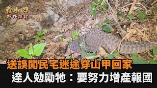 感人片！送誤闖民宅迷途穿山甲回家　達人勉勵牠：要努力增產報國－民視新聞