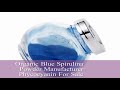 Organic blue spirulina powder manufacturer phycocyanin for sale