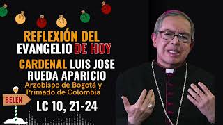 Reflexión del Evangelio de HOY por el Cardenal Luis José Rueda Aparicio