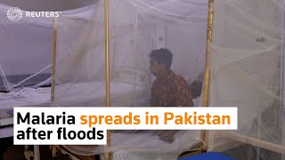 Malaria spreads fast through flood-hit Pakistan