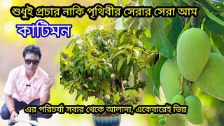 সারাবছর হবে বস্তা বস্তা পৃথিবীসেরা কাটিমন আম 🤔 Katimon Mango Plant #katimon #gardening #farming