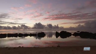 石垣島 白保のうみそらさんごⅡOkinawa  空撮\