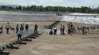 Aquatainment Tour to Thai National Farmer Council Demo Shrimp Farm on 8 Aug 2016