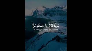 The Holy Quran - القران الكريم
