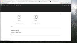 ModernThemes Services Plugin