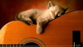 3 HOURS Relaxing Guitar Music Instrumental Music Calming Music Soft Music Sleep Music