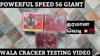 Powerful 56 Giant Wala Cracker Testing Video | Thaya Fireworks | Shreeman Brand