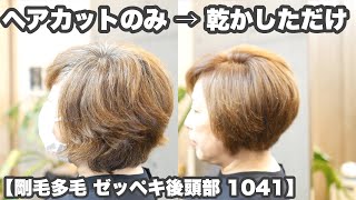 「ヘアカットのみで」丸く立体的なボブ【硬い多毛 ゼッペキ後頭部を丸く1041】