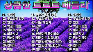 상큼한 트로트 메들리 | 트로트 신곡 메들리 | PLAYLIST 2023