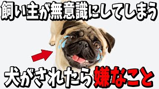 【ゆっくり解説】飼い主が無意識にしてしまう犬がされたら嫌なこと20選