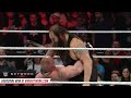 brock lesnar meets the wyatt family royal rumble 2016