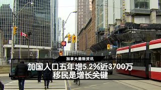 加国人口五年增5.2%近3700万 移民是增长关键