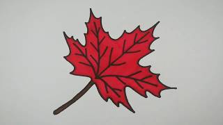 How to Draw Maple Leaf Easy l Maple Leaf Drawing