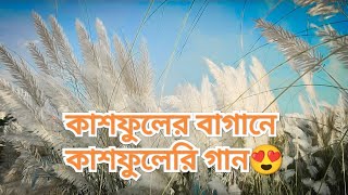 kashful whatsapp status vidio with kashful song😍 কাশফুল নিয়ে গান🥰