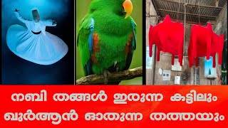 നബിതങ്ങൾ ഇരുന്ന കട്ടിലും ഖുർആൻ മനഃപാഠമാക്കിയ തത്തയും അഹമ്മദാബാദ്