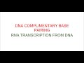 Java DNA sequencer