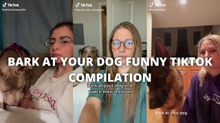 Bark at Your Dog | Funny Tiktok Challenge Compilation