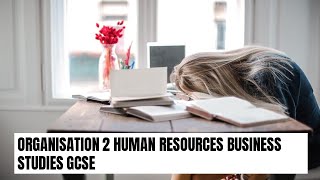 Organisation 2 Human resources Business Studies GCSE 91