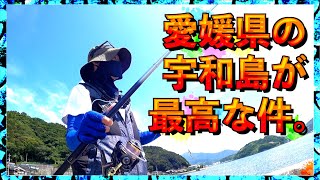 第214話【愛媛宇和島】愛媛の聖地は魚の宝庫!の巻