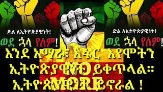 Ethiopia ጠ/ም አብይ አህመድ እና ታማኝ በየነ ትግሉን ለማገዝ  ከ አፋር ከፍኖ ከልዮሀይል ጋር ተቀላቀሉ