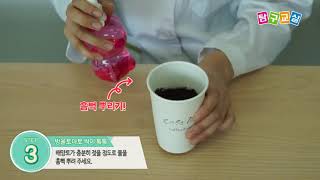 1단계9호3주 방울토마토 싹이 톡톡