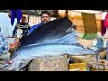 KASIMEDU 🔥 SPEED SELVAM | BIG MAYIL KOLA FISH CUTTING VIDEO | IN KASIMEDU | FF CUTTING 🔪