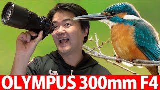 OLYMPUS M.ZUIKO DIGITAL ED 300mm F4.0 IS PRO レビュー！キレの良い換算600mmプロレンズ 待望のオリンパス超望遠単焦点 テレコン付けてもシャープに