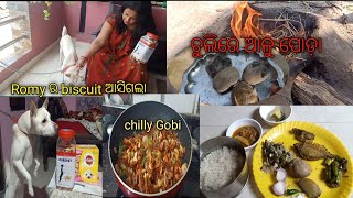 ଆଜି ମୋ favorite ଆଳୁ ପୋଡ଼ା 😋ପୁଣି ଚୁଲିରେ ପୋଡା//dinner re chilly Gobi//Romy ର biscuit ଆସିଗଲା//