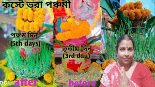 নবরাত্রির(Navratri)পঞ্চম দিনের পূজো।#bengali#puja#blog@Nirupama sd   vlog।।