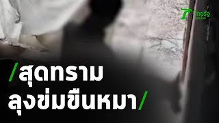 สุดทราม ชายวัย 60 ปี มีเพศสัมพันธุ์กับสุนัข | 21-05-63 | ข่าวเช้าหัวเขียว