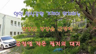 [매매완료] 양양 현산공원 가까이 위치하는 양양군 양양읍 군행리 군청옆 작은 필지의 대지