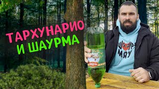 Двойная Шаурма и Ее Новый Друг