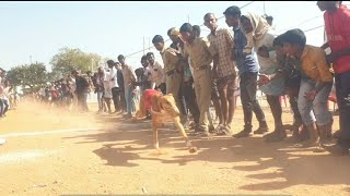 ఐయిజ 🐕‍🦺 కుక్కల పరుగు పోటీ 🐕‍🦺మూడో ప్లేసు