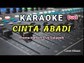 Cinta Abadi - Karaoke duet - Rhoma irama & Elvy Sukaesih - cover elbass