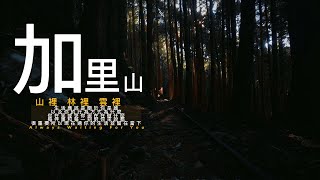 VLOG｜加里山-我在山裡 林裡 雲裡 ｜音樂｜電影感｜旅遊｜TAIWAN｜加里山