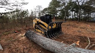 Finished clearing trees for a house spot