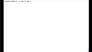 Linux echo command 1