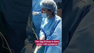 Egg pick-up or ovum pick-up is done to collect the female’s eggs for IVF treatment.