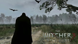 The Witcher 3 Next Gen -  Atmospheric Walk in Foggy Velen | Music & Ambience